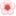 🌸